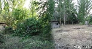 Фото Расчистка участков.Все виды земляных работ