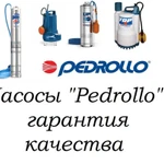 фото Насосы и насосные станции от компании Pedrollo