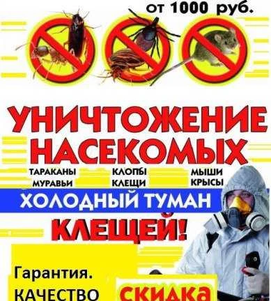 Фото Уничтожение насекомых, грызунов