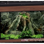 Фото №5 Террариумы с оборудованием