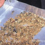 фото Лицензии Минпромторга на вывоз золота в слитках и в виде руд и концентратов