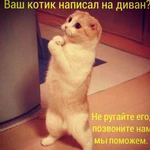 Фото №2 Химчистка мягкой мебели и ковровых покрытий
