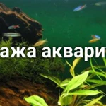 Обслуживание аквариумов