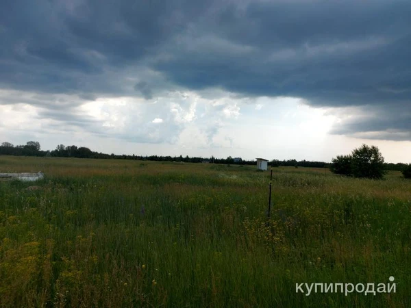 Фото Продам участок 1Га Ордынка