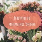 Репетитор по математике и физике 1-11 классы