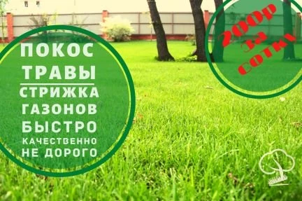 Фото Покос травы  Спил деревьев