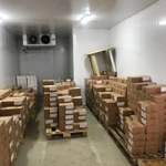 Фото №3 Сдается чистое холодильное складское помещение с предбанником.