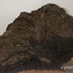 Фото №6 Декор для аквариума