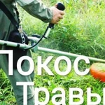 Покос травы, спил деревьев, вспашка огорода