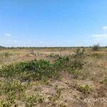 фото Предлагается к продаже участок 130 соток в СТ &quot;Берег&quot; Земли