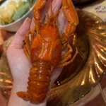 Фото №6 Раки живые и вареные