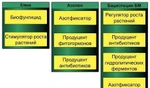 фото Регулятор роста растений "Бациспецин" БМ