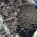 Фото №3 Земля грунт перегной