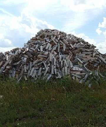 Фото Дрова