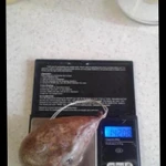 Фото №3 Бобровая струя