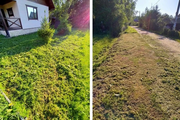 Фото Покос травы. 2 ПРИНЦИПА хорошего и НЕхорошего .