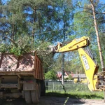 Расчистка участков и удаление растительности