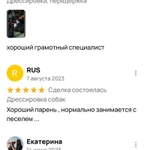 Фото №6 Дрессировка, передержка