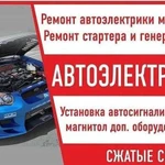 Автоэлектрик 12/24V. Есть выезд