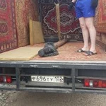 Фото №6 Грузопервозки Салават, Башкортостан