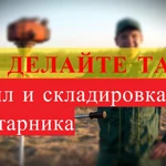 Фото №51 СПИЛ КОРЧЕВАНИЕ ВЫРАВНИВАНИЕ ПЛАНИРОВКА ГАТЧИНА И РАЙОН. 