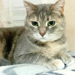 Фото №6 Алиса ждет любящих родителей