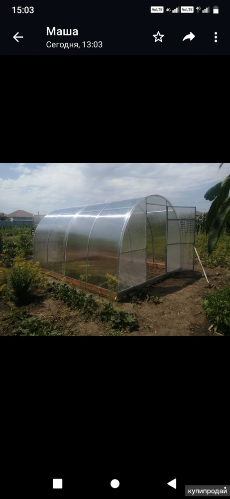 Фото Теплицы