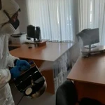 Фото №3 Уничтожение насекомых без запаха