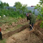 Фото №4 Покос травы.Уборка территории.Спил.Слом.Вывоз