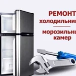 Ремонт холодильников морозильников на дому