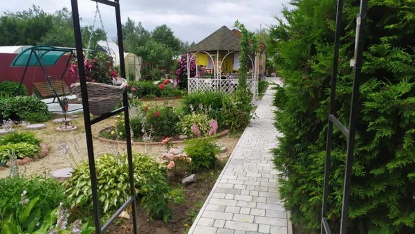 Фото Укладка тротуарной плитки
