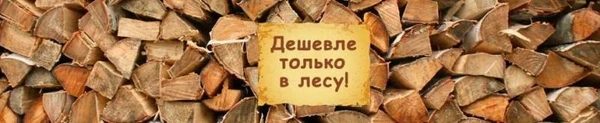 Фото Дрова колотые с доставкой самосвал