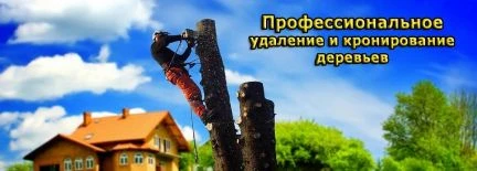 Фото Дачные работы благоустройство, спил деревьев