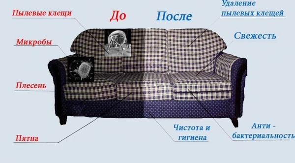 Фото Химчистка на дому.