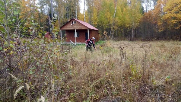 Фото Расчистка участка, вывоз мусора, спил деревьев и многое др.