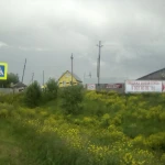 Фото №2 Дрова в Полазне