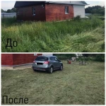Фото №6 Покос травы, спиливание деревьев