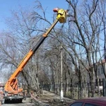 Профессиональный спил деревьев, чистка лэп