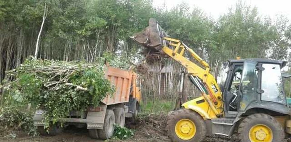 Фото Разработка запущенных участков
