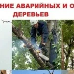 Спил аварийный деревьев корчевание расчистка