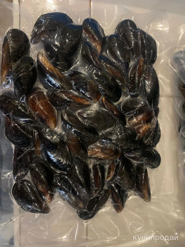 Фото Мидии черноморские в/м в/у