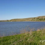 Фото №6 Продаётся Зарыбленное Озеро