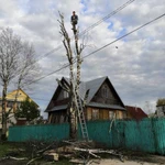 Спил деревьев любой сложности 