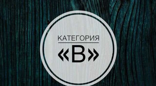 Фото Автошкола «Абсолют»