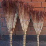 Веник-сорго