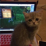 ПоМОЩь НетбУКУ,НОУтбуКУ.чИСТка