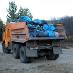 Вывоз мусора 8-37 м3 недорого