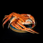 КРАБ СТРИГУН конечности