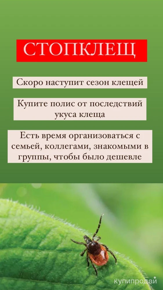 Фото Полис страхования Стоп. Клещ