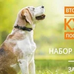 Курс Послушание. Набор в группу. Вторчермет